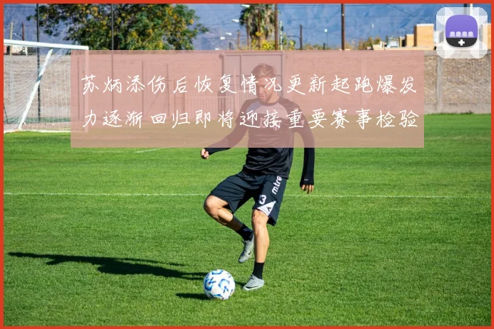 苏炳添伤后恢复情况更新起跑爆发力逐渐回归即将迎接重要赛事检验