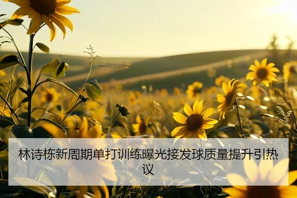 林诗栋新周期单打训练曝光接发球质量提升引热议